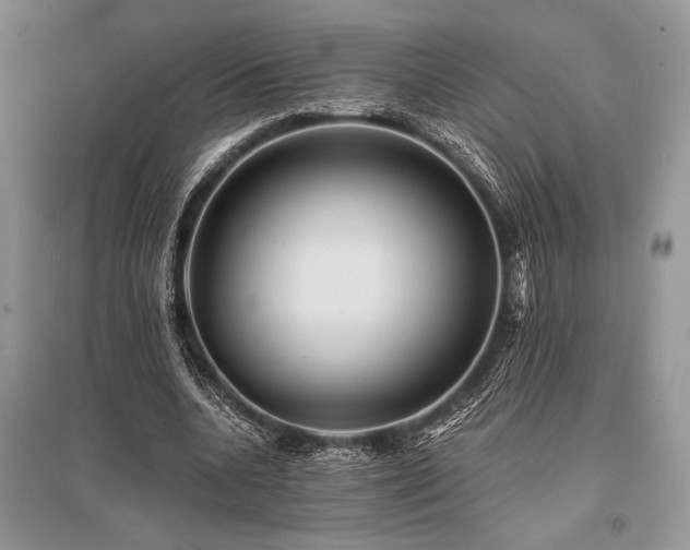 X0000096380536200801241239