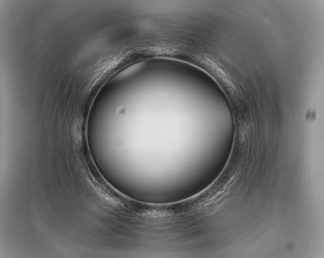 X0000096380537200801241239