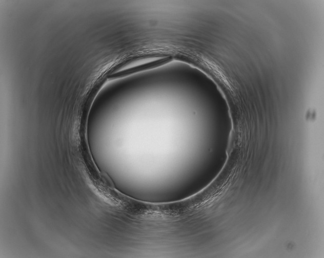 X0000096380538200801241239