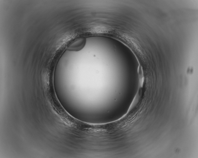 X0000096380539200801241239