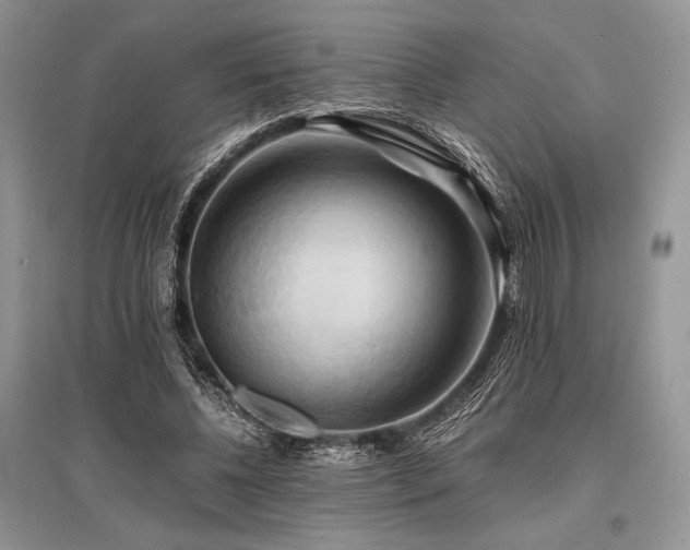 X0000096380540200801241239