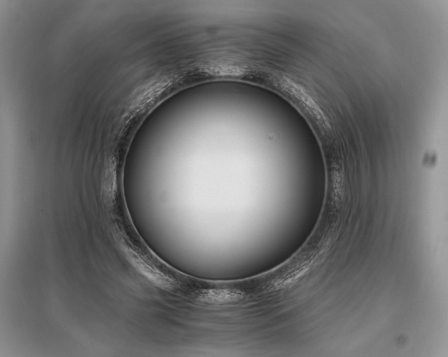 X0000096380541200801241239