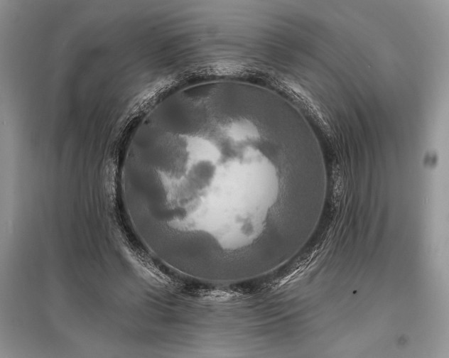 X0000096380542200801241239