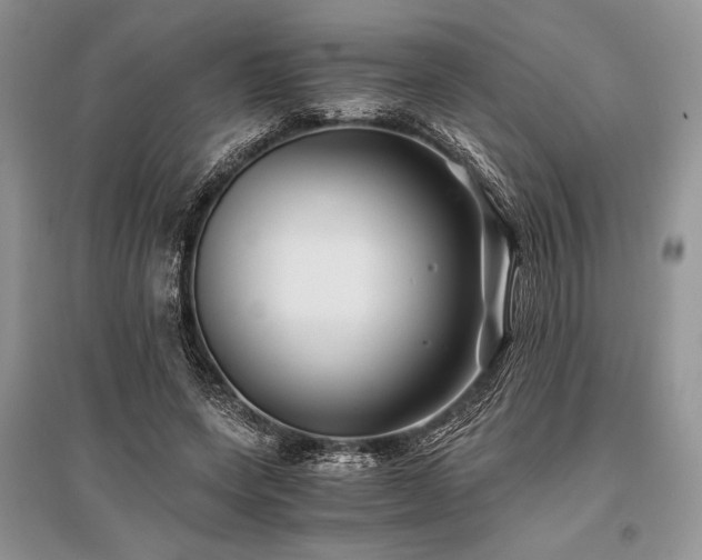 X0000096380543200801241239