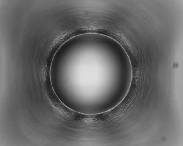 X0000096380544200801241239