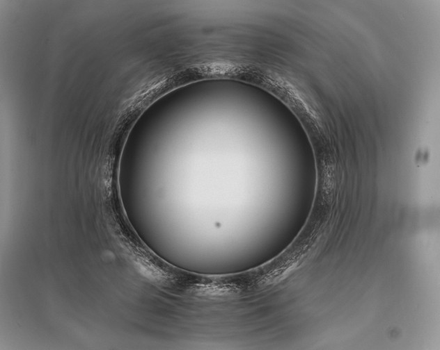X0000096380545200801241239