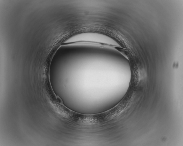 X0000096380546200801241239