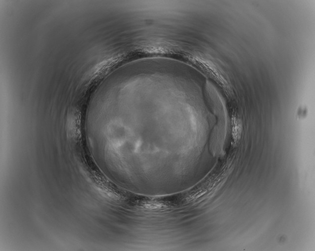 X0000096380547200801241239