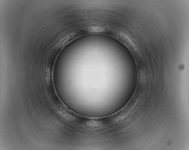 X0000096380549200801241239