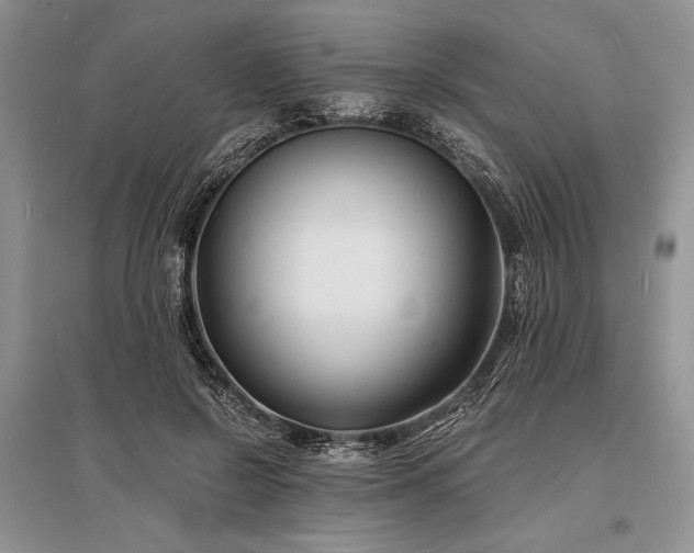 X0000096380550200801241239