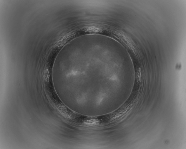 X0000096380551200801241239