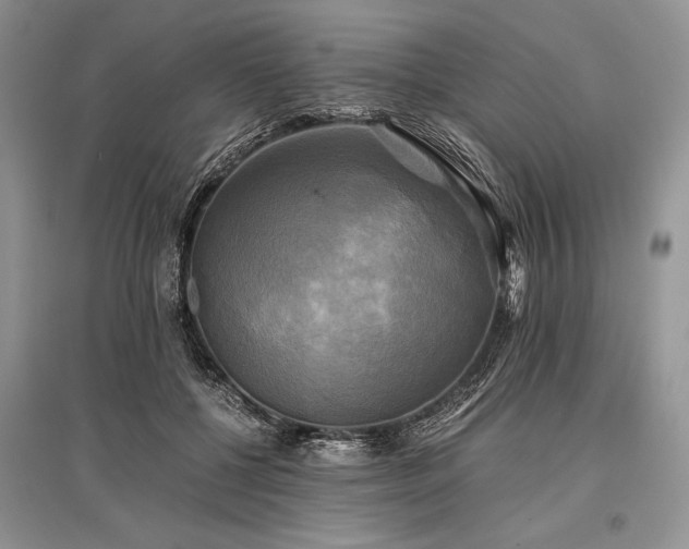 X0000096380552200801241239