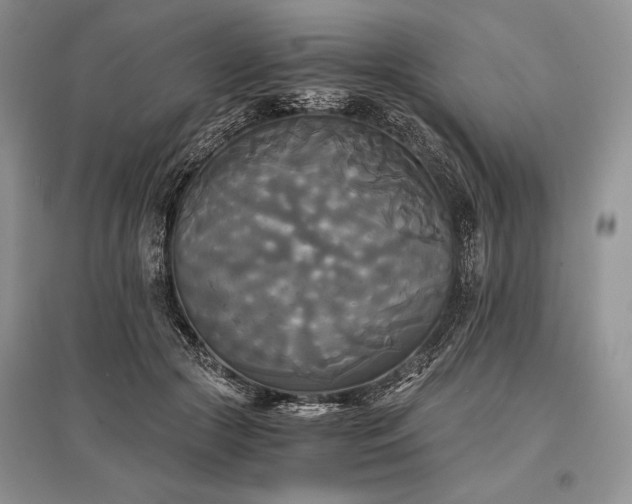 X0000096380553200801241239