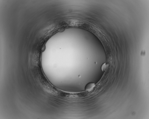 X0000096380554200801241239