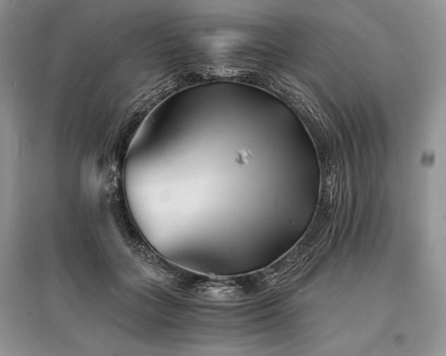 X0000096380555200801241239