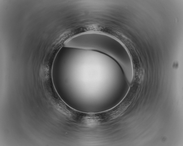 X0000096380556200801241239