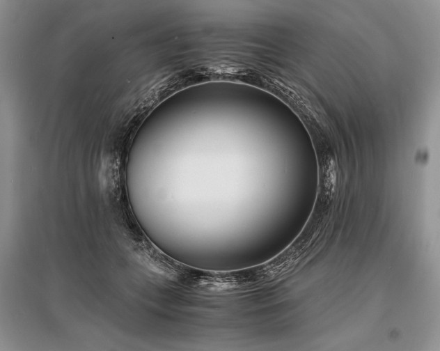 X0000096380559200801241239