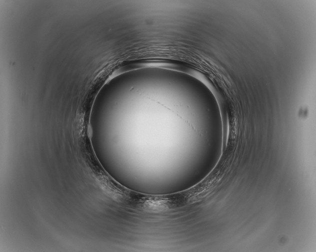 X0000096380560200801241239