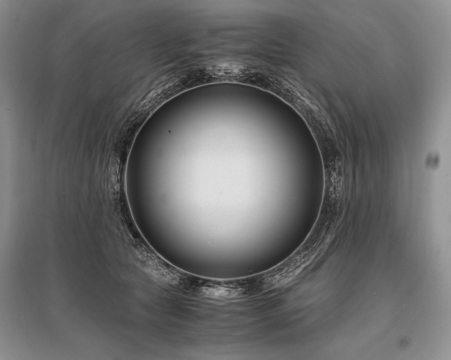 X0000096380561200801241239