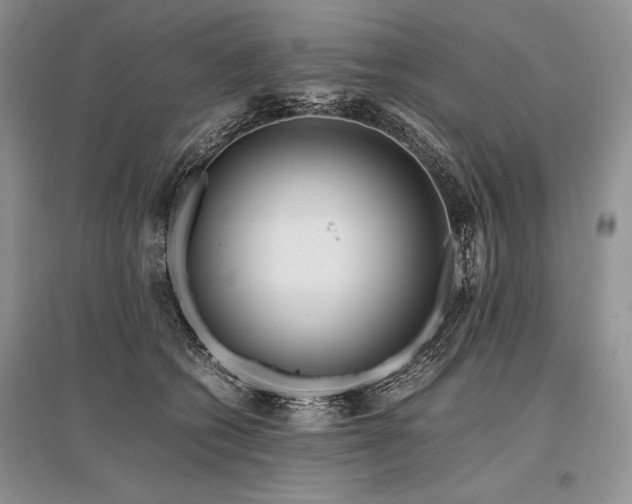 X0000096380562200801241239
