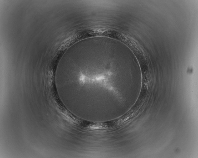 X0000096380563200801241239