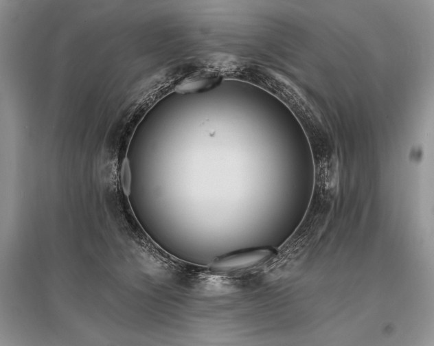 X0000096380564200801241239