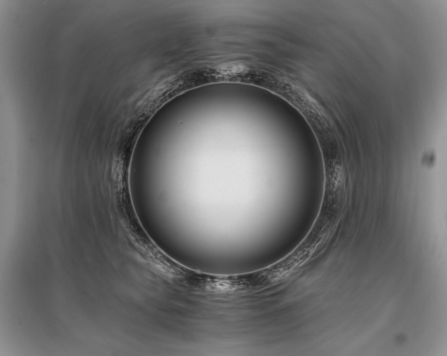 X0000096380565200801241239