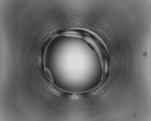 X0000096380566200801241239