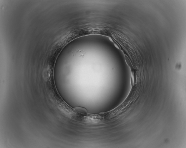 X0000096380567200801241239