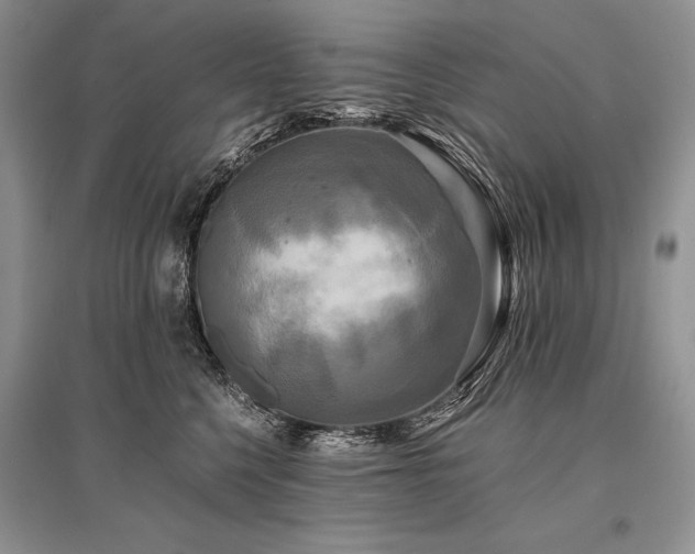 X0000096380568200801241239