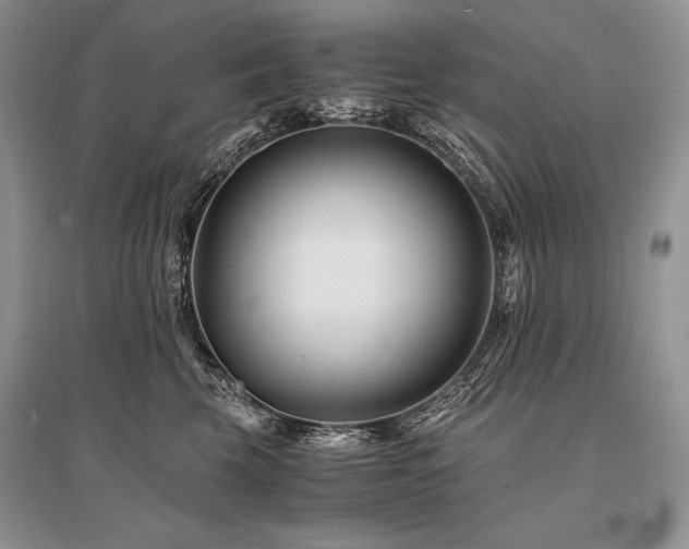 X0000096380569200801241239