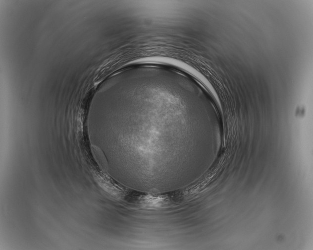 X0000096380570200801241239