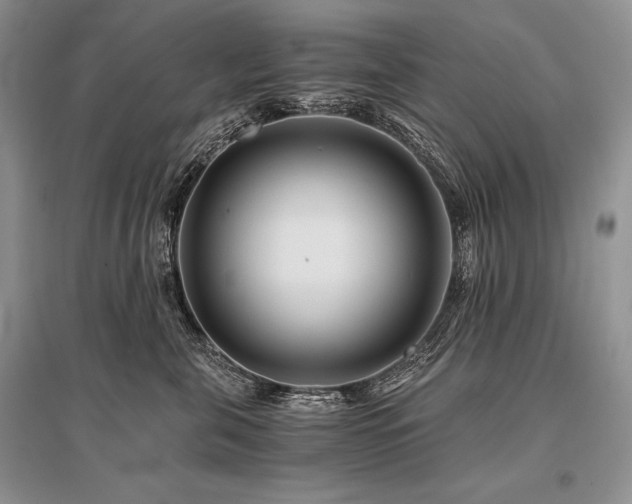 X0000096380571200801241239