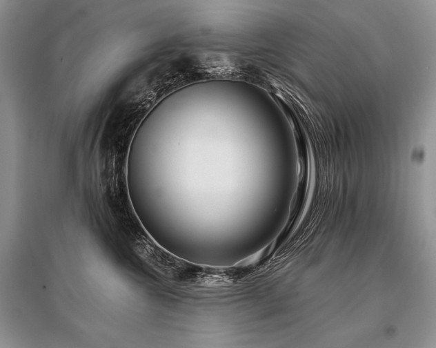 X0000096380572200801241239