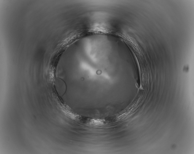 X0000096380573200801241239