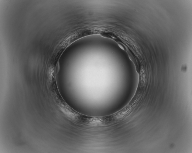 X0000096380574200801241239