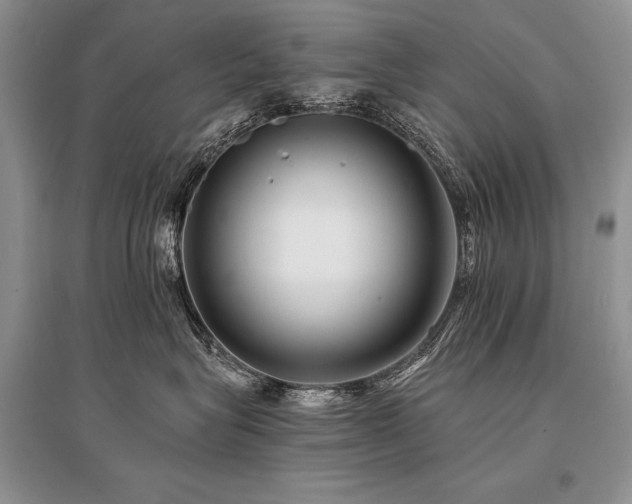 X0000096380575200801241239