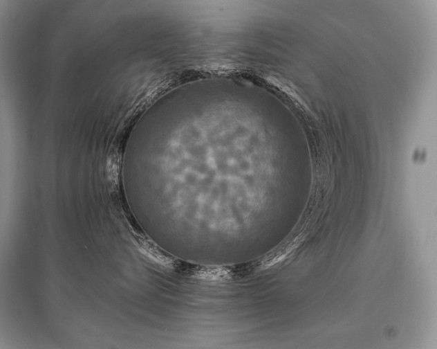 X0000096380576200801241239
