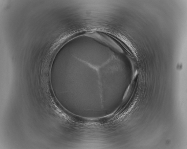 X0000096380577200801241239
