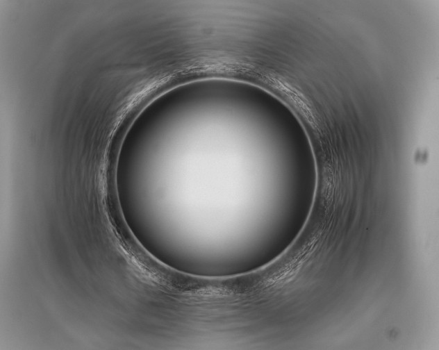 X0000096380578200801241239