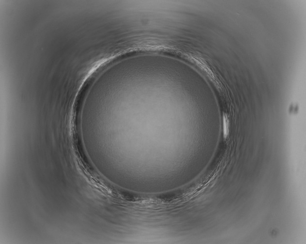 X0000096380579200801241239