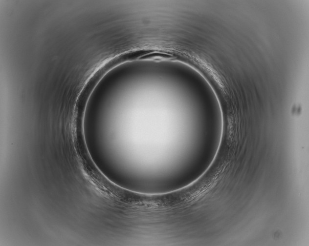 X0000096380580200801241239