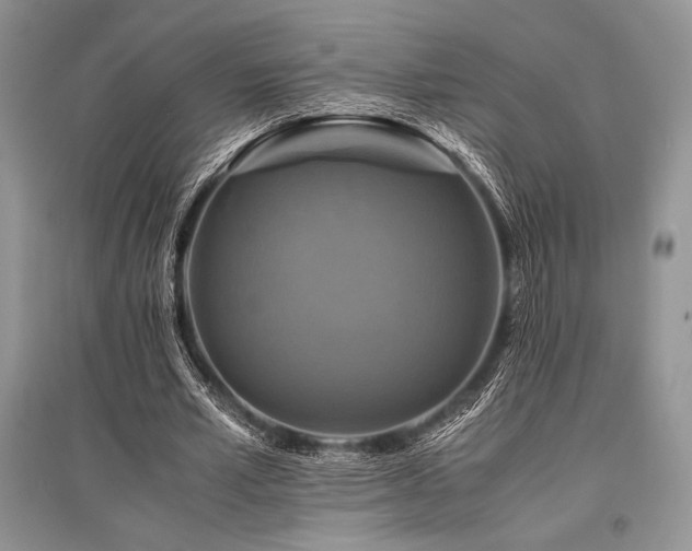 X0000096380581200801241239
