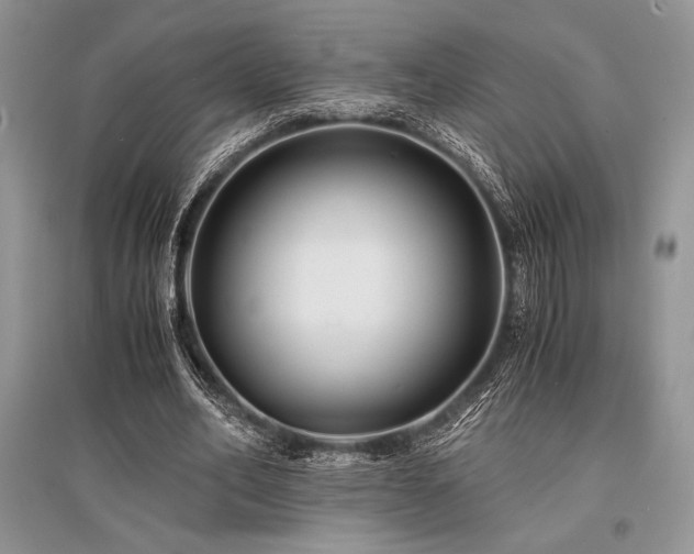 X0000096380582200801241239