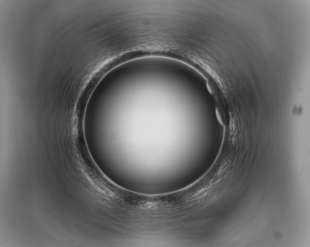 X0000096380584200801241239