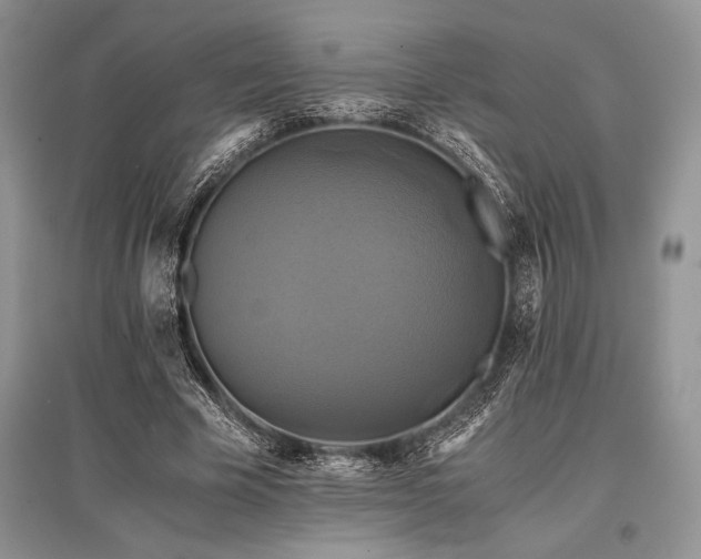 X0000096380585200801241239