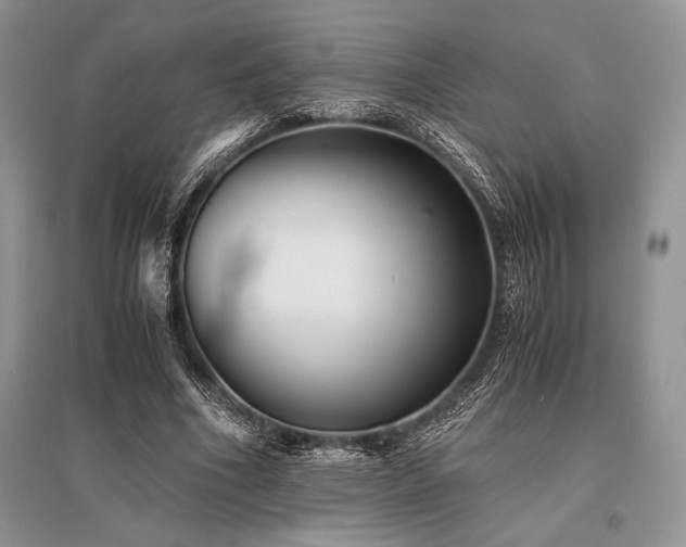 X0000096380586200801241239
