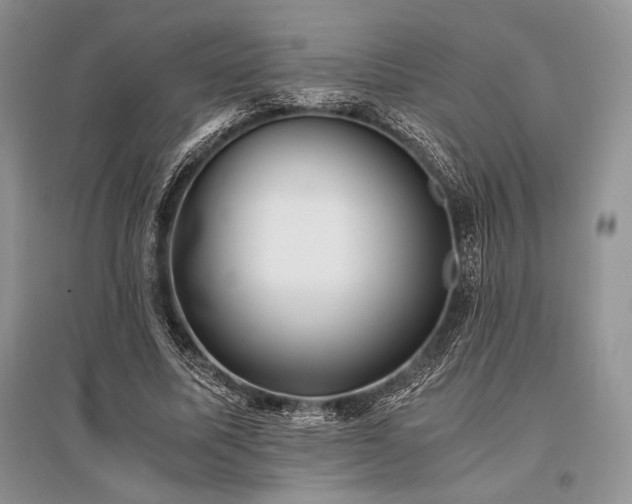 X0000096380587200801241239