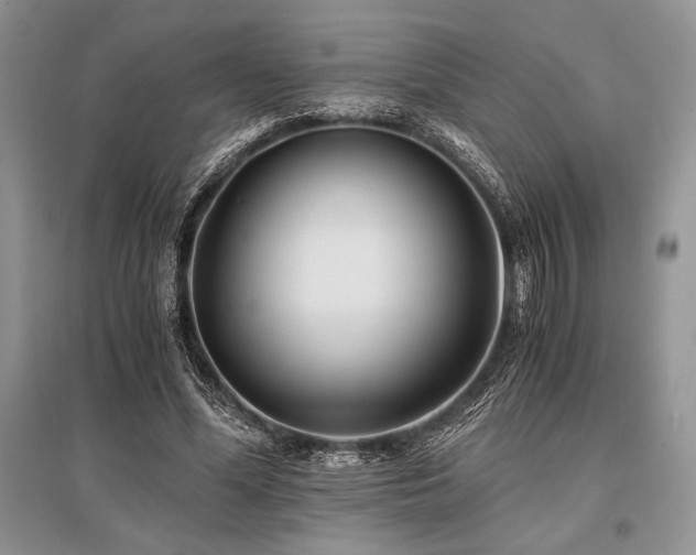X0000096380588200801241239