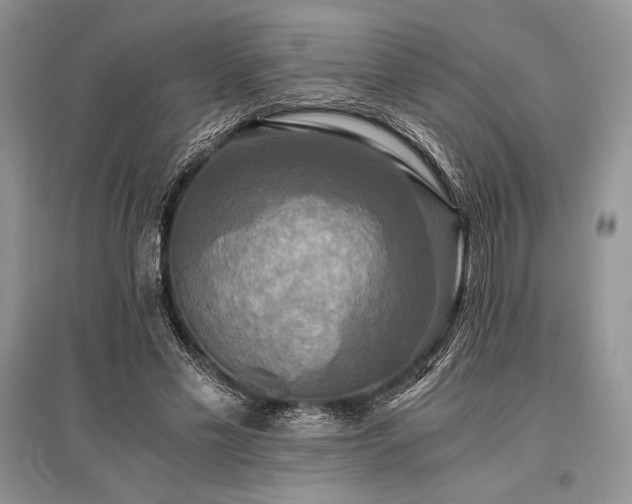 X0000096380589200801241239